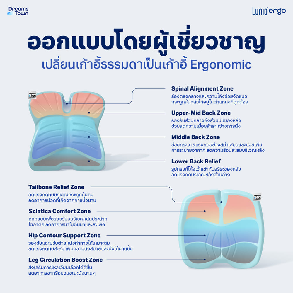 เซ็ตเบาะรองนั่ง+เบาะรองหลัง LUNIO ERGO PRO BACK CUSHION + LUNIO ERGO PRO SEAT CUSHION